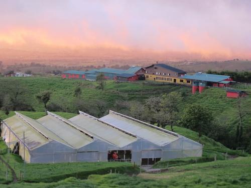 Sunset in Costa Rica over a large dairy with two solar water heaters on the roofs of its milking sheds. Credit: Ashden